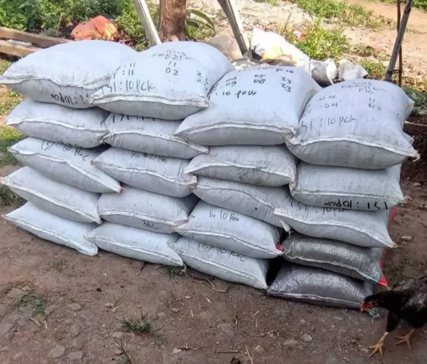 jual kohe kambing karungan