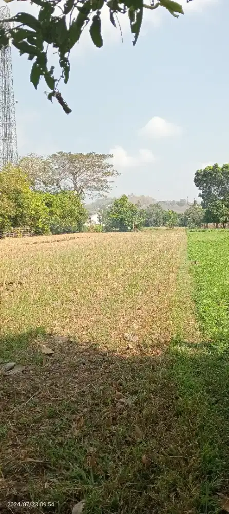 Tanah  771 mtr di berbah