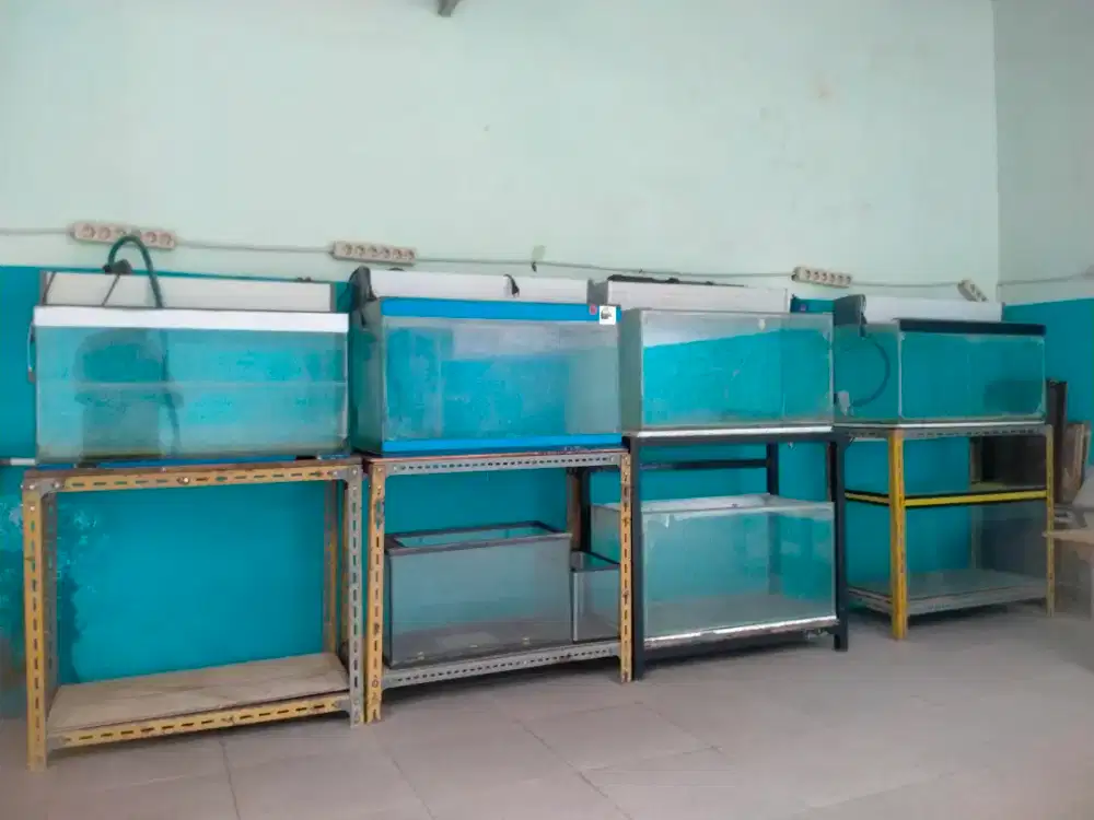 Aquarium Tank ikan peliharaan
