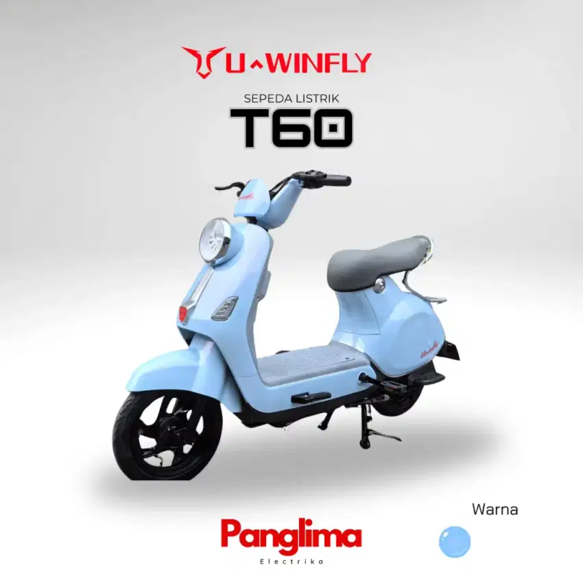 Sepeda listrik u-winfly t60 2024