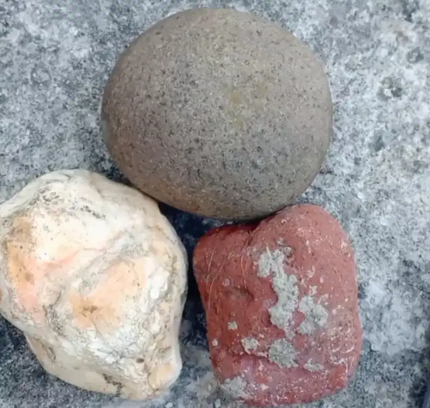 Batu Alam Hias Coral Sikat Taman