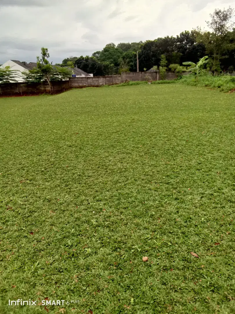 Tukang rumput gajah mini