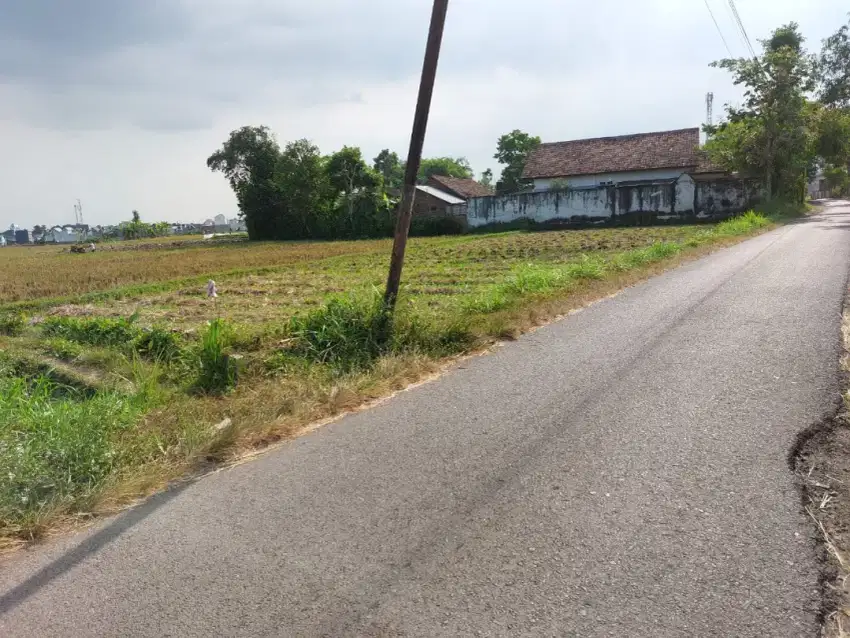 Sawah Dekat Kota Dekat Kampus Dekat Perumahan