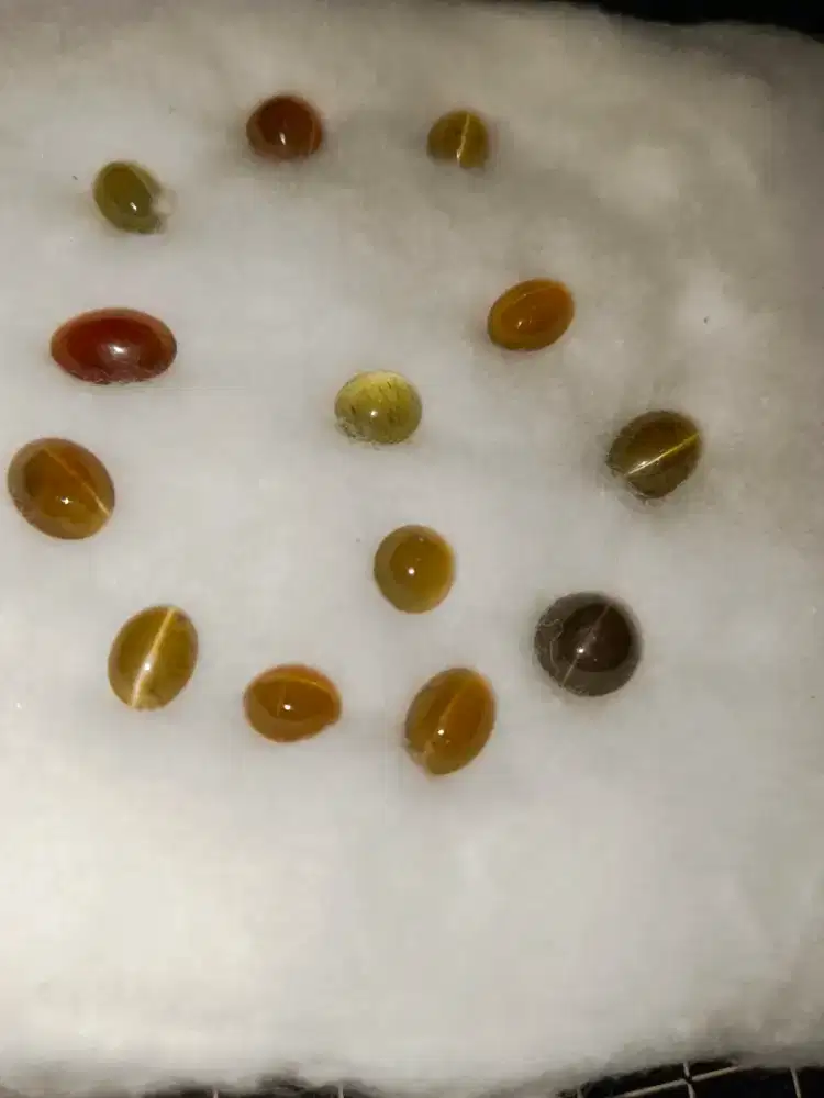 Natural Honey Color Cat Aye Apatite (Borongan Murmer)