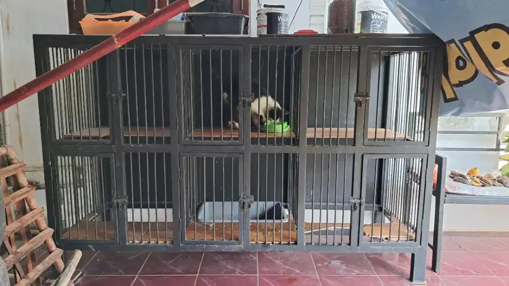 Kandang 2 tingkat 3 pintu