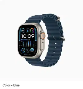 Apple Watch Ultra 2 Titanium Case With Blue Ocean Band