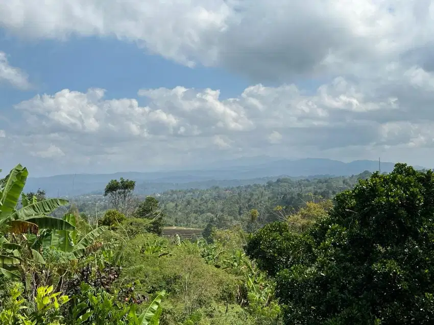 Tanah kebun view gunung dan lembah di tabanan bali.