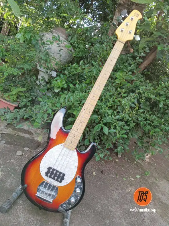 Bass Zakk Zakk Stingray Classic