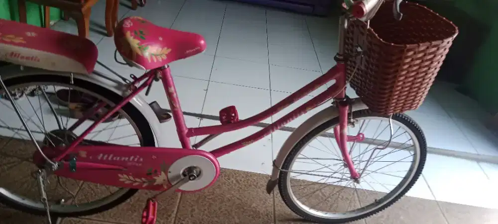 Sepeda jingga cantik