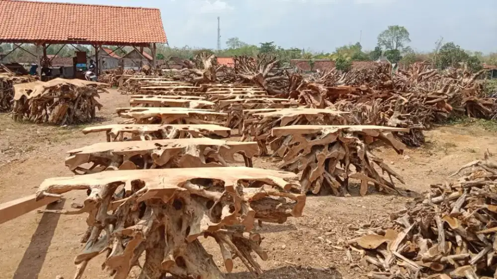 Konsul kayu jati alami berbagai ukuran