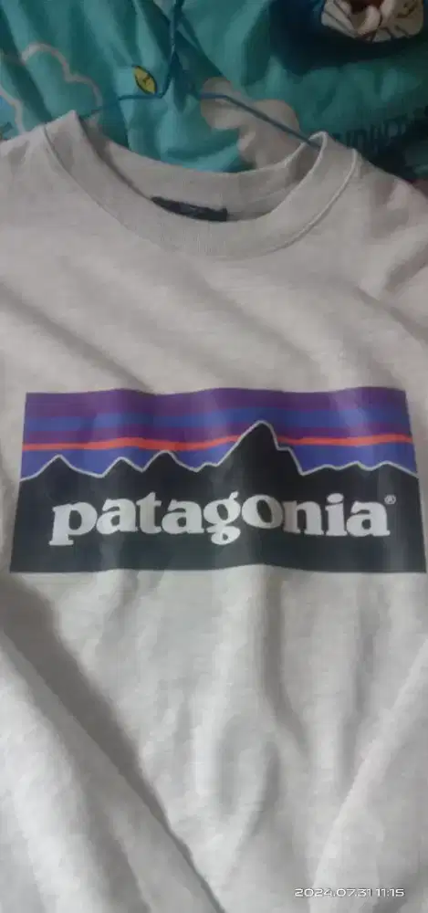 Patagonia colab Topten Crewneck BigLogo