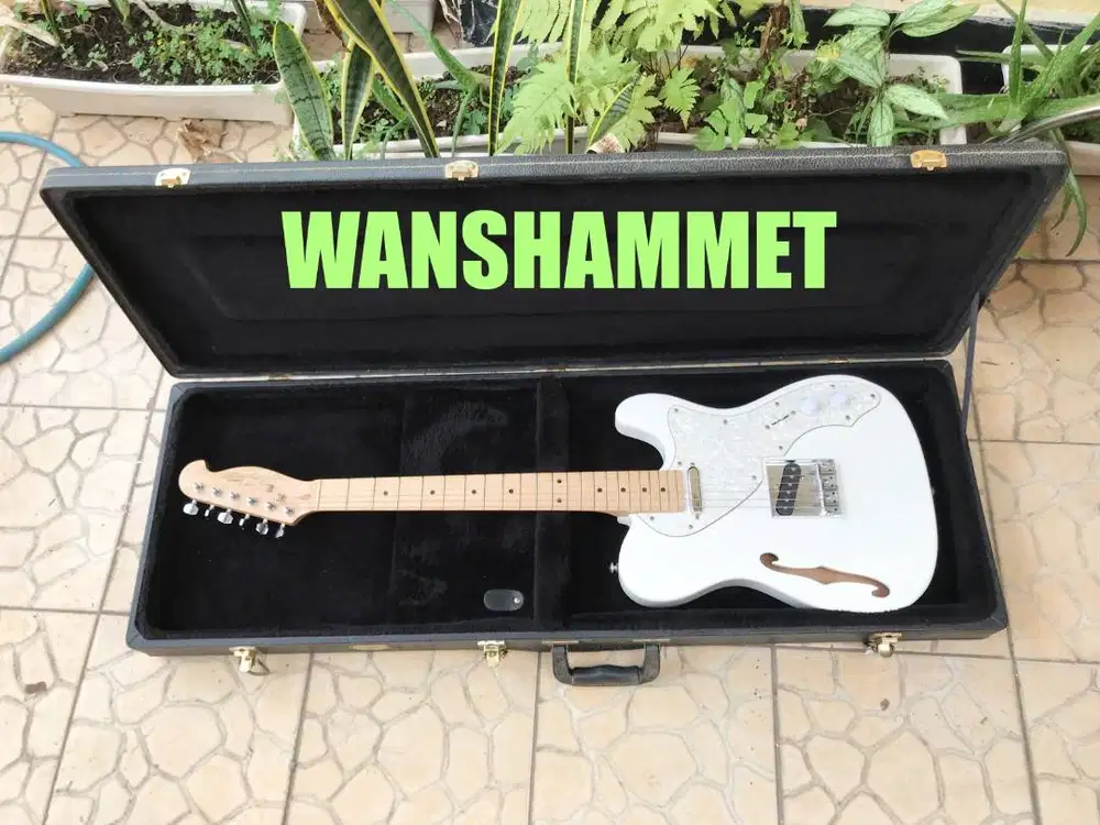 J&D THINLINE TELECASTER SUPER MULUS