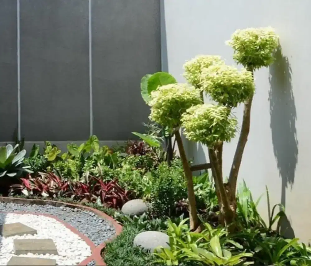 Taman berbukit indah