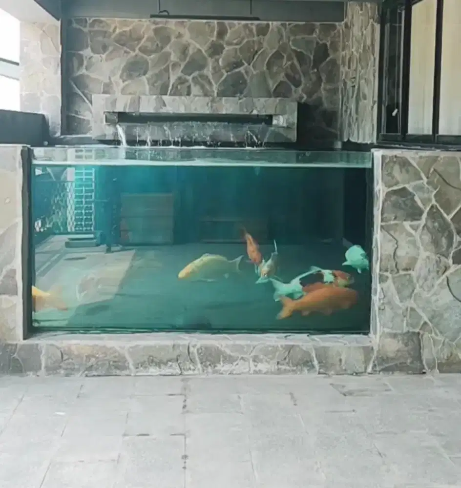 Kolam koi motif kaca