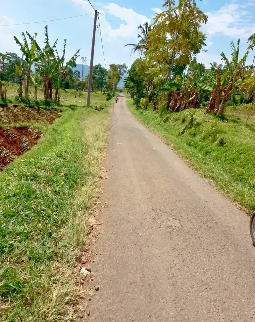 JUAL LAHAN KEBUN MURAH PINGGIR JALAN DESA