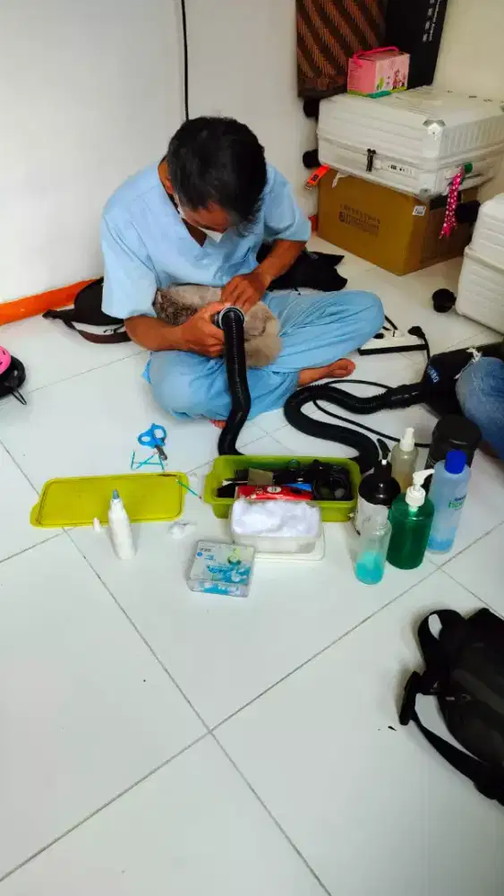 Grooming panggilan kerumah