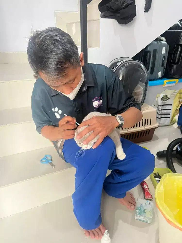 Grooming panggilan se-jabodetabek