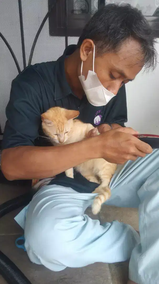 Grooming panggilan ke rumah