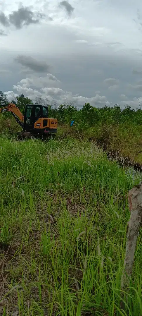 Jasa tebang pohon dan potong rumput skala kecil dan besar