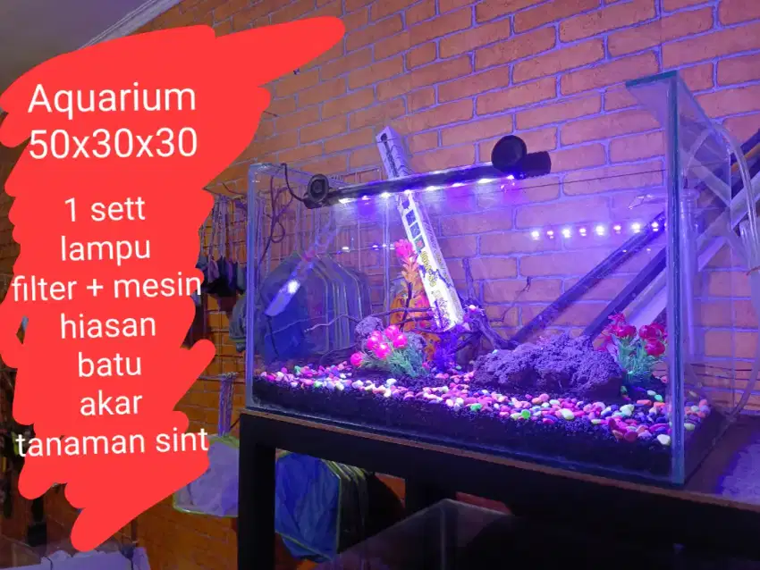 Aquarium 50x30x30 1sett