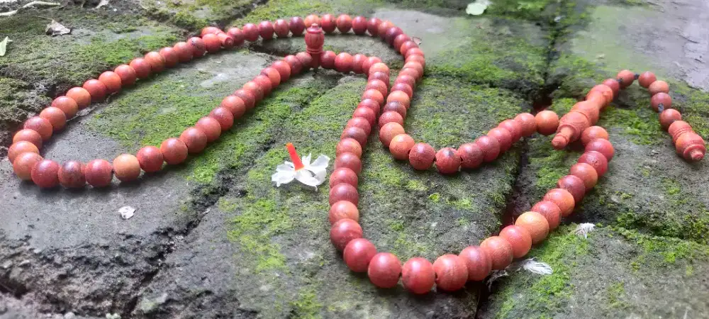 Tasbih gaharu Agatis wangi tembus cahaya asli bersertifikat