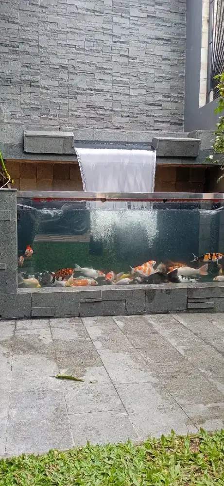 Kolam koi minimalis