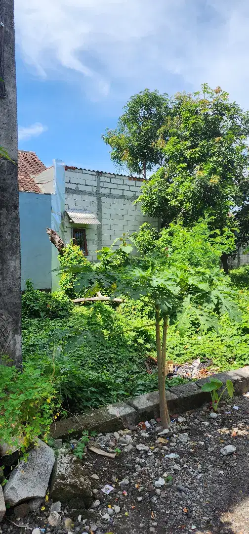 Dijual Tanah Banjarpoh SHM Belakang Pondok Mutiara Sidoarjo