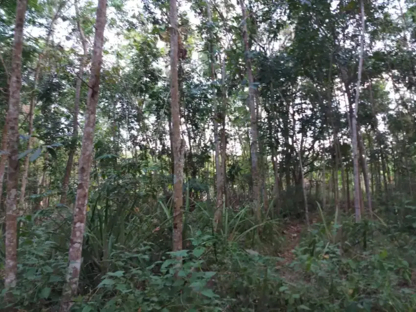 Tanah ujung kampung perumahan, bisa sebagian