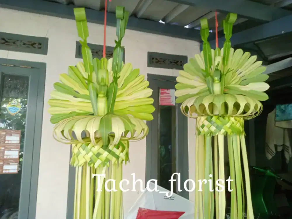 Janur kuning untuk pernikahan dan khitanan