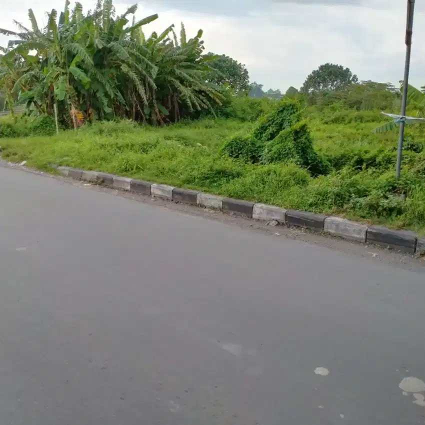 Jual tanah pinggir jalan raya