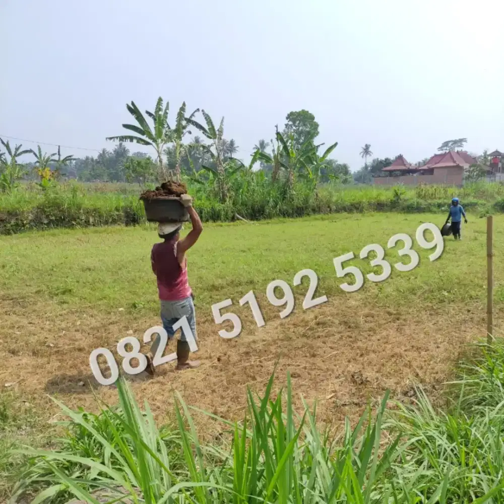 TANAH JOGJA MURAH !!!