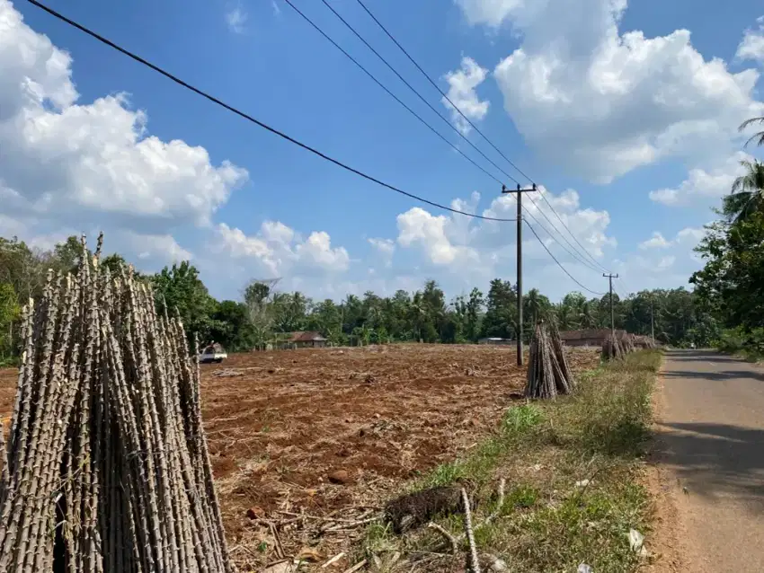 Tanah Luas Pinggir Jalan Lampung Timur