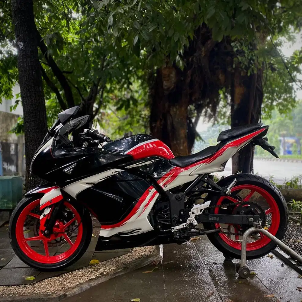 Kawasaki ninja 250r karburator 2012