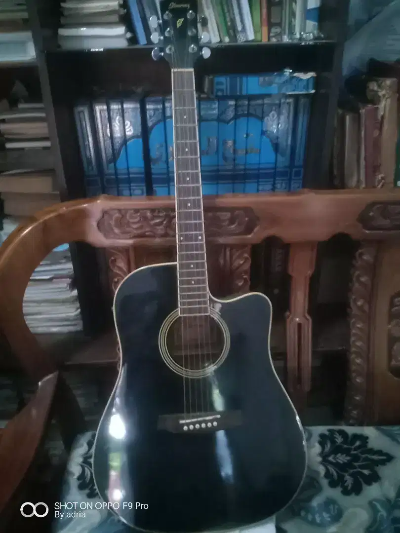 Ibanez pf15cebk