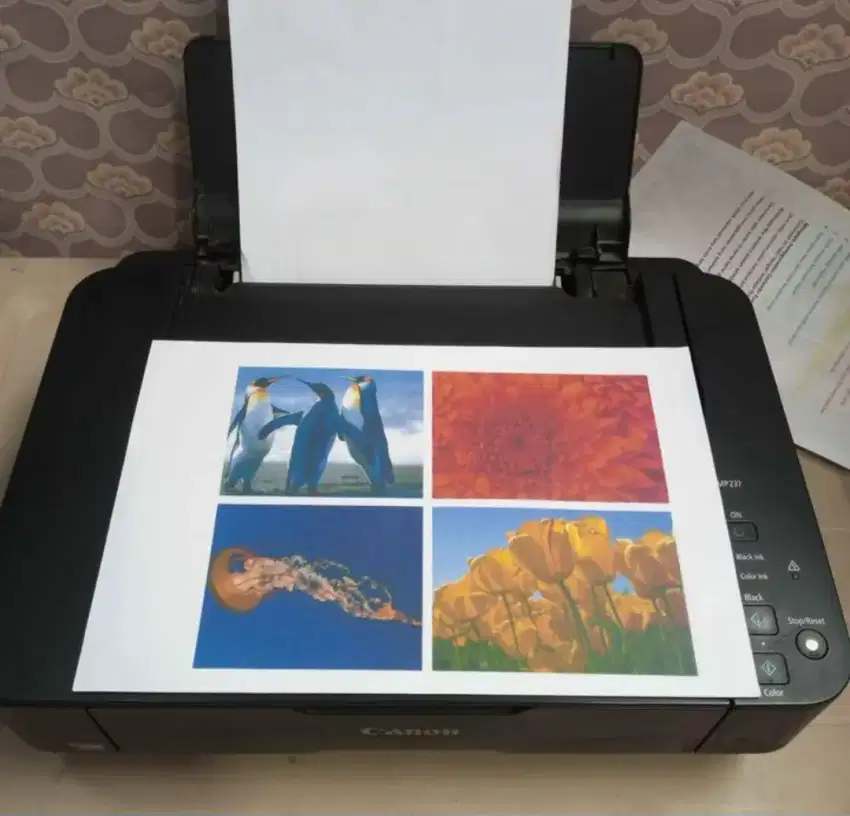 Printer Canon mp287 Scan copy multifunction