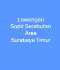 DICARI Sopir Serabutan Domisili Surabaya Timur