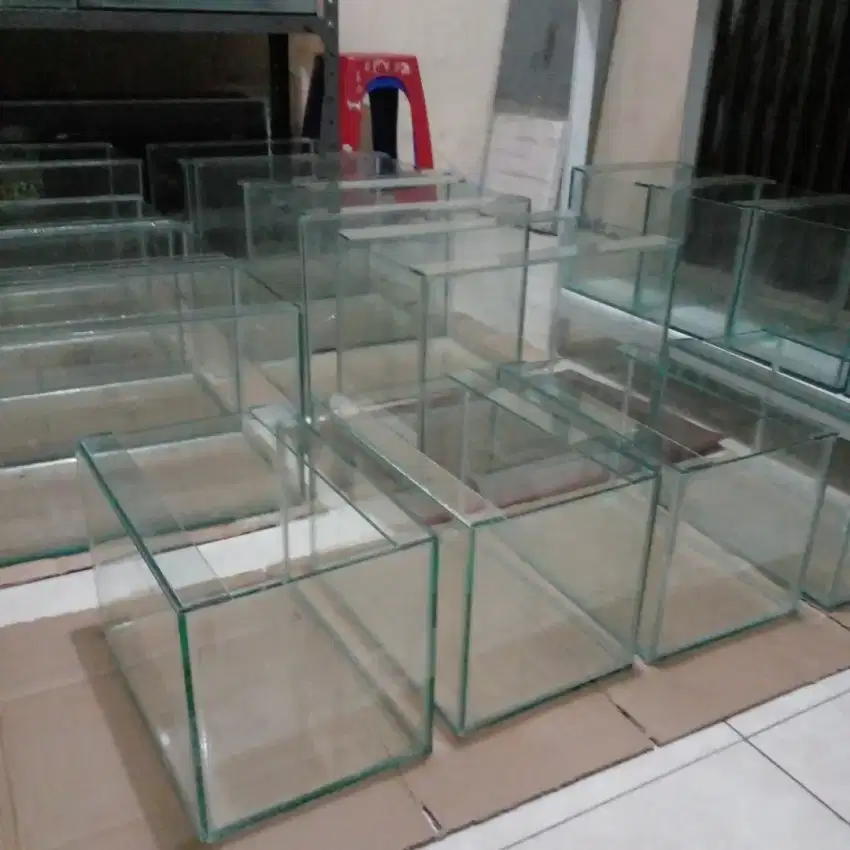 Aquarium Murah Cijantung