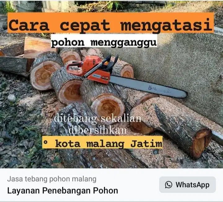 tebang pohon sekalian buang