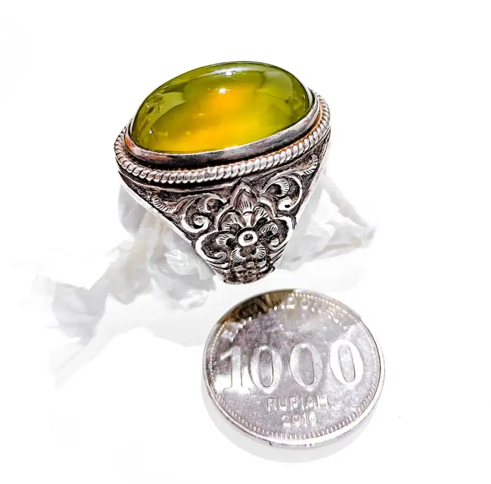 Cincin Bio Solar dengan ikat perak