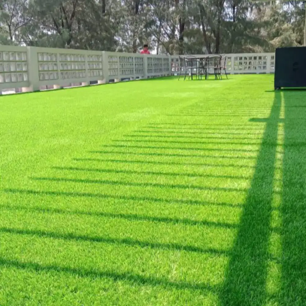 Rumput sintetis adalah rumput buatan yang menyerupai rumput asli