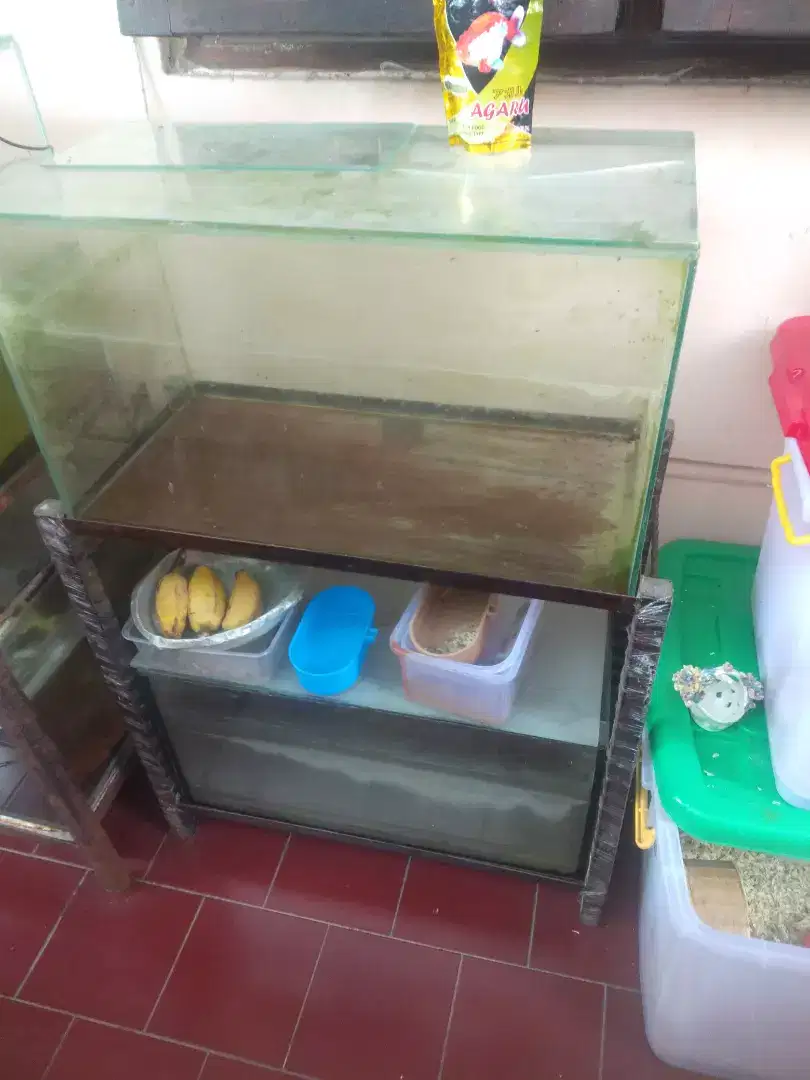 Aquarium size 60 x 30 2 biji sama rak siku minat wa aja no CACICU