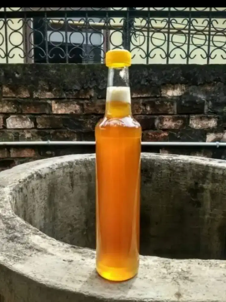 Madu Hutan Liar Asli