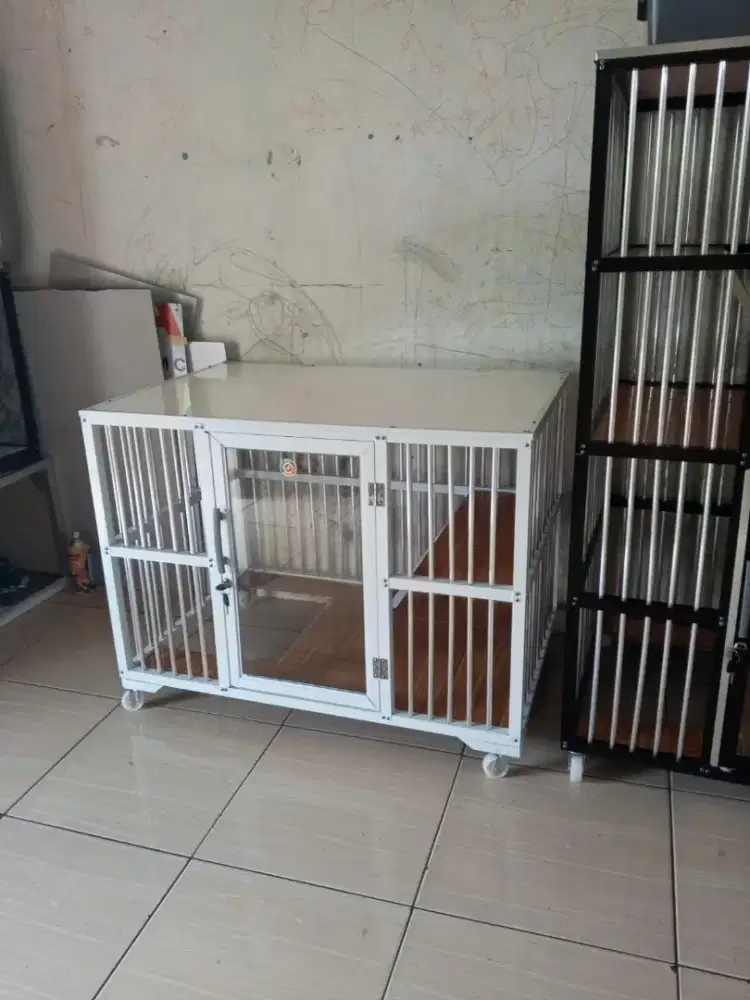 Kandang kucing 1 kamar