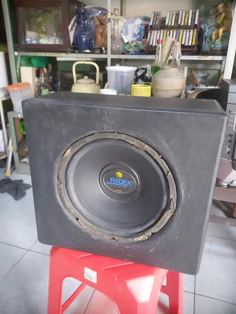 Subwoofer rodex 10 Inch usa