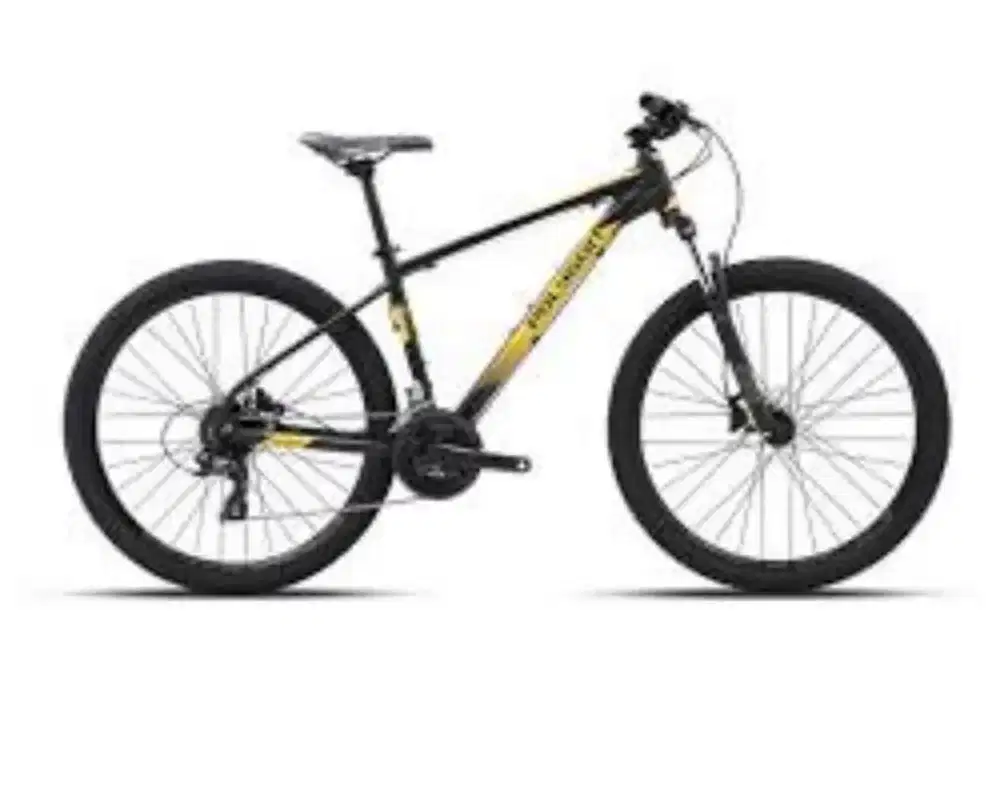 Sepeda Polygon MTB Cascade 4