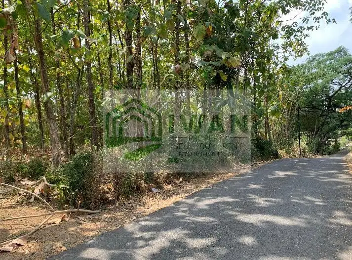 Tanah Luas & Murah Hadap Jalan Aspal Dekat Mata Air Dapat View Sawah