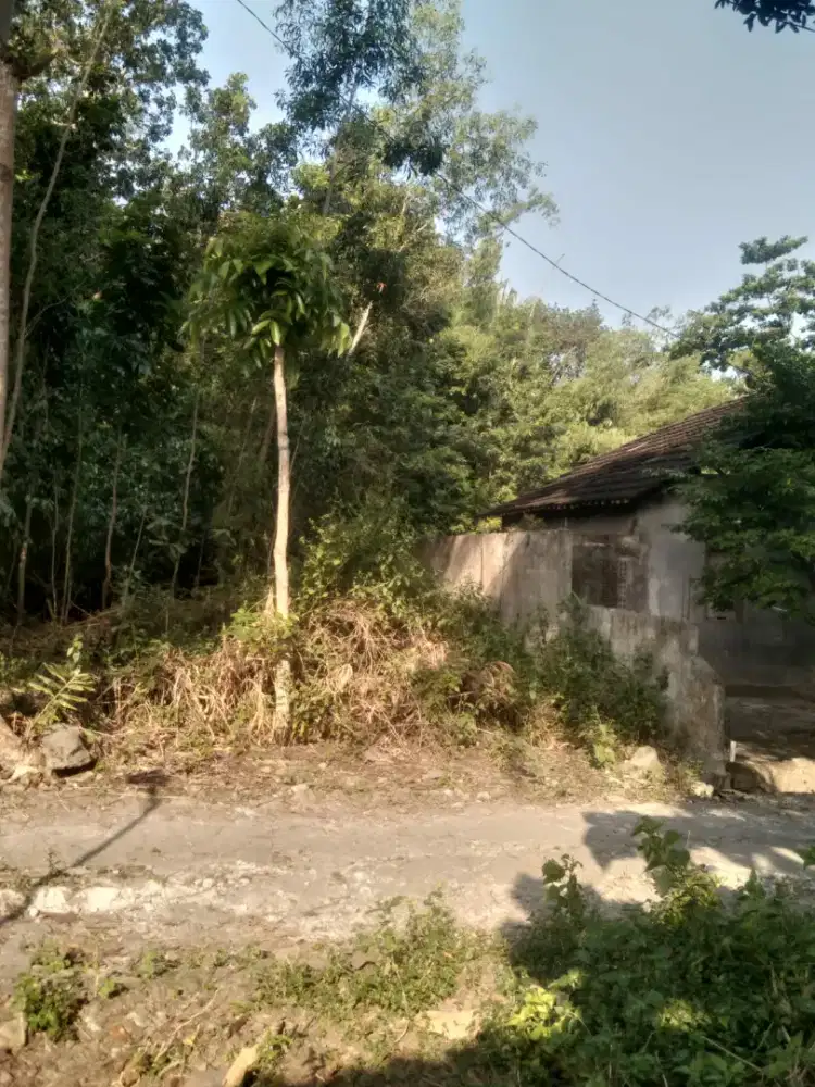 dijual tanah murah dan strategis dekat bbrp komplek perumahan