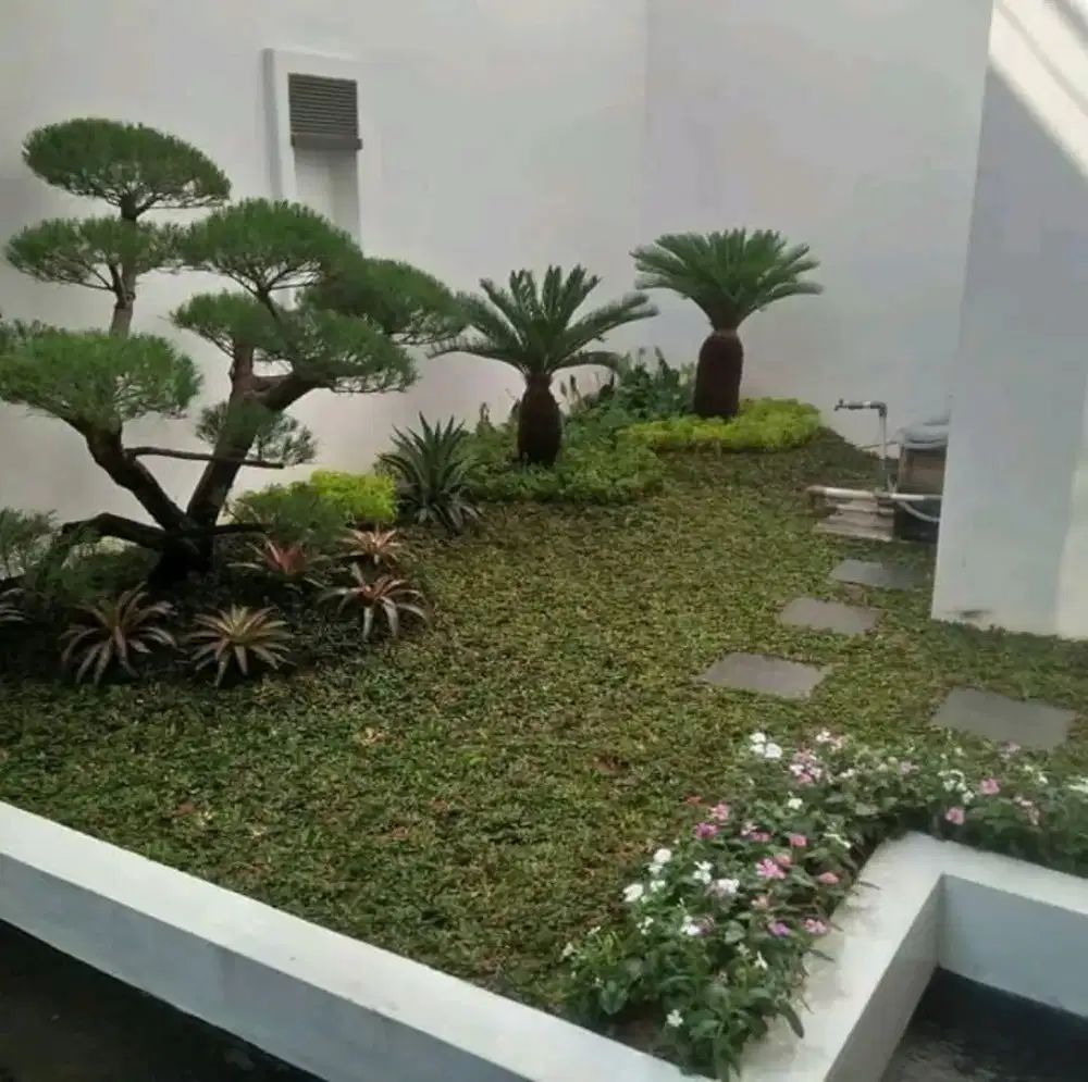 Jasa pembuatan taman kering taman proyek dll #18