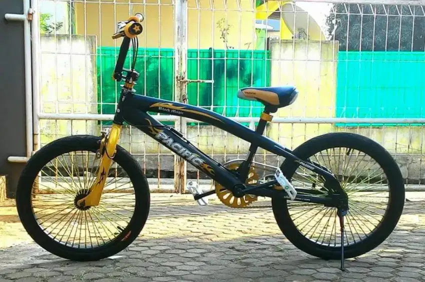 Pacific BMX 20 batangan tebal