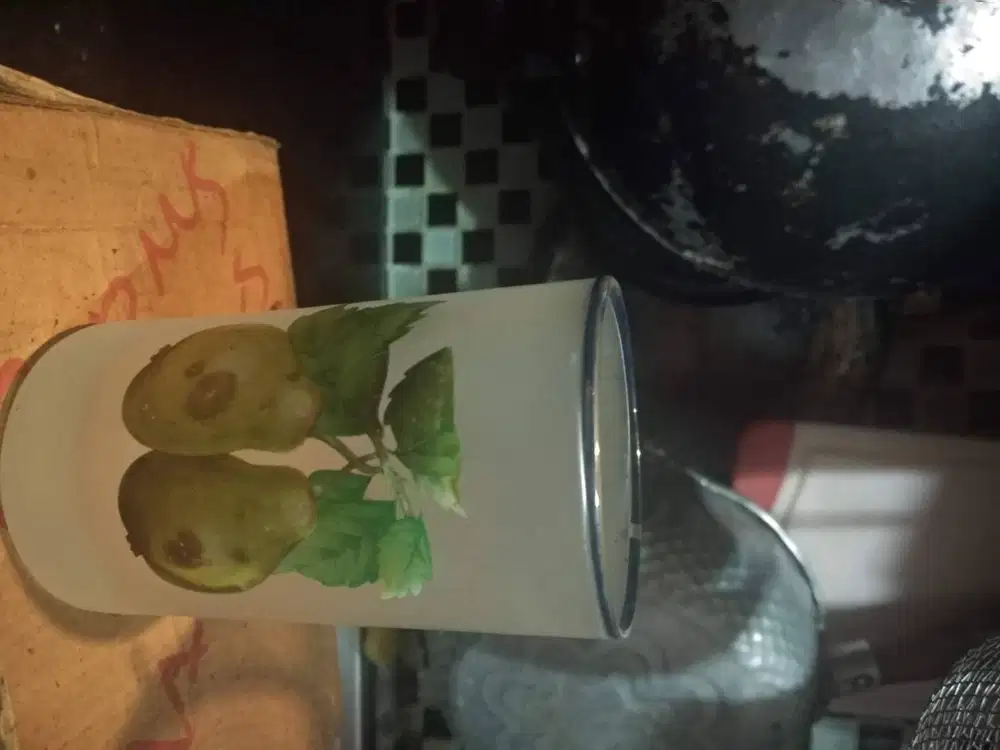 Obral Gelas tamu Motif buah